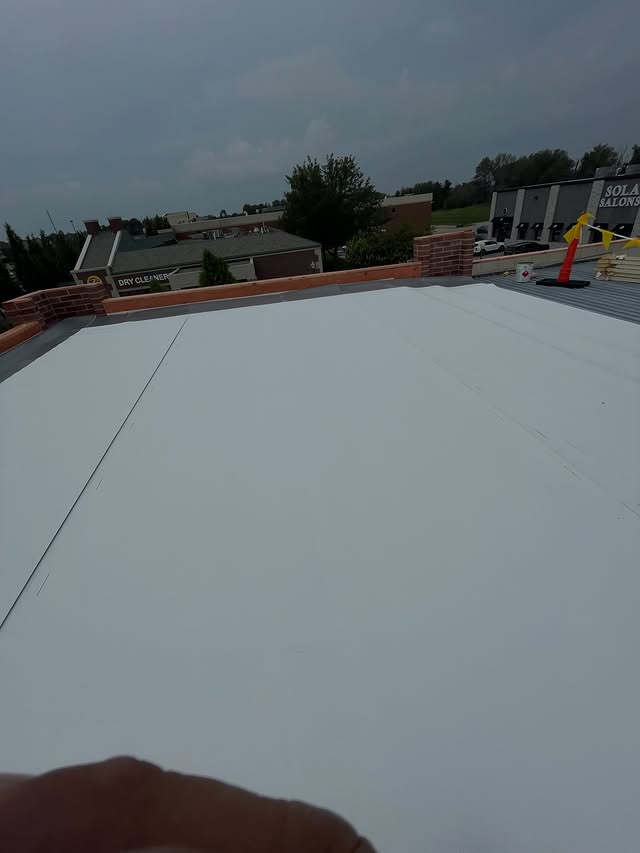 Vargas & Sons roof inspection Bellevue